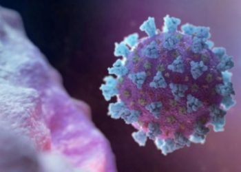 দেশে করোনা শনাক্ত ৩০০০ ছাড়ালো, মৃত্যু ১১০