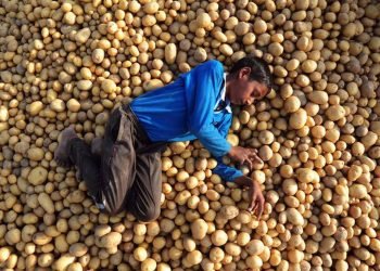 বেনিয়া দর্শন: করোনাকালে বিজেপি’র কৃষি সংস্কারে লাভ কার?