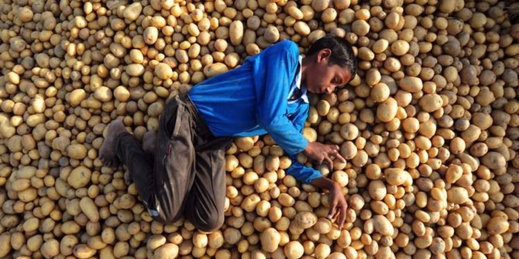 বেনিয়া দর্শন: করোনাকালে বিজেপি’র কৃষি সংস্কারে লাভ কার?