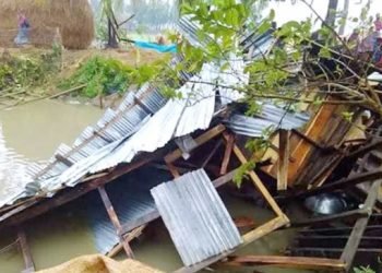 ঘুর্ণিঝড় আমফান: সেই সুন্দরবনই বাঁচিয়ে দিল আবার