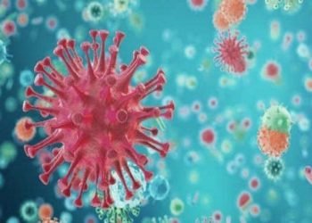 বন্ধ গণপরিবহণ খোলা শপিং মল!