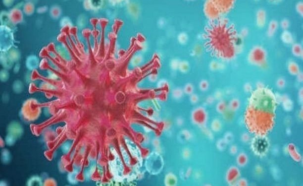 বন্ধ গণপরিবহণ খোলা শপিং মল!