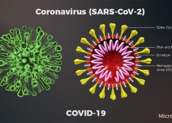 করোনার ভিন্ন রুপ চট্রগ্রামে!