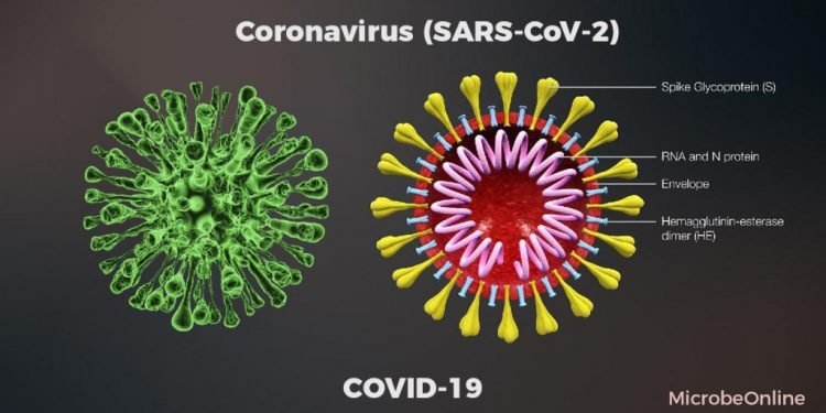 করোনার ভিন্ন রুপ চট্রগ্রামে!
