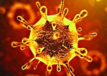 বাড়ছেই করোনা আক্রান্ত ডাক্তার-পুলিশের সংখ্যা