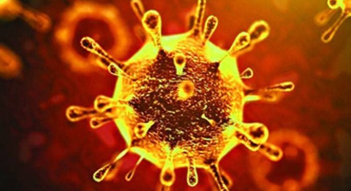 করোনা শনাক্ত ৮০০০ ছাড়ালো, মোট মৃত্যু ১৭০