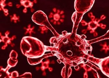 দেশে করোনায় শনাক্ত ২০ হাজার ছাড়ালো