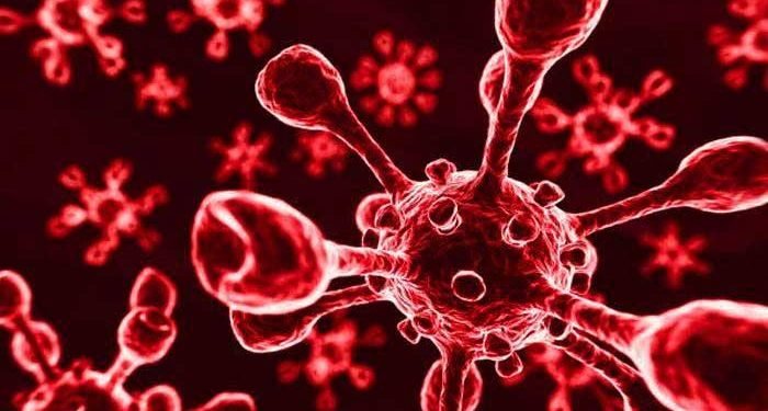 গড়ে সাত জনে একজন: ২৪ ঘণ্টায় নতুন শনাক্ত ১ হাজার ছাড়ালো