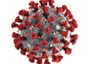 টেস্টের সংখ্যার অনুপাতে পূর্ব দিনের তুলনায় সনাক্তের হার ৬.৬৪ % বেশি