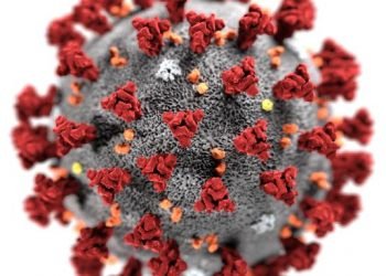 হবিগঞ্জের ডিসি করোনায় আক্রান্ত