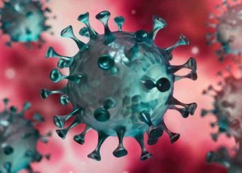 যে ৪ জেলায় ঈদে যাতায়াত বন্ধে চিঠি