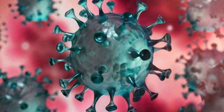 যে ৪ জেলায় ঈদে যাতায়াত বন্ধে চিঠি