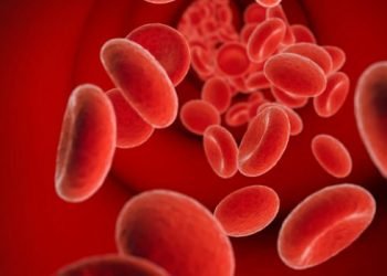 কোভিড -১৯: রক্তের জমাট বাঁধা কেন করোনায় মৃত্যুর অন্যতম প্রধান কারণ?