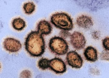 করোনাভাইরাস বায়ুপ্রবাহের মাধ্যমে ছড়িয়ে পড়ে মর্মে প্রমাণ মিলছে