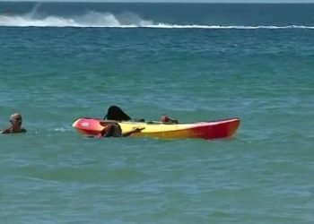 পতুর্গালের প্রেসিডেন্ট ডিঙ্গি উল্টে বিপদে পড়া দুই নারীকে উদ্ধারে সাগরে ঝাপিয়ে পড়লেন