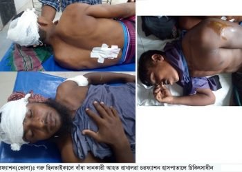 চরফ্যাশনে তিন রাখালকে কুপিয়ে পাঁচটি গরু ছিনতাই