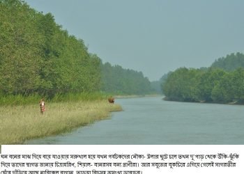 করোনা কালীন নতুন রূপে সেজেছে পর্যটন দ্বীপ কুকরি মুকরি