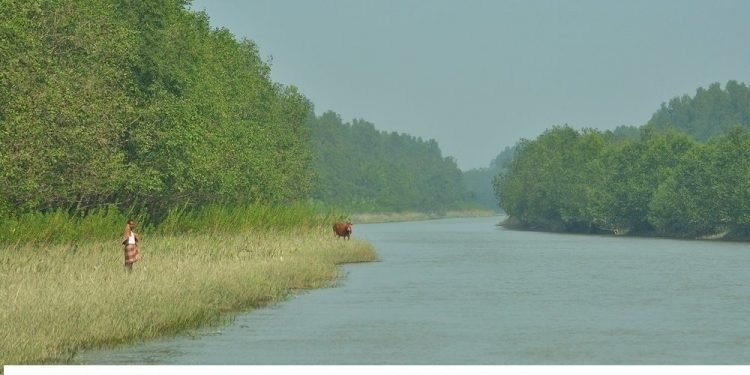 করোনা কালীন নতুন রূপে সেজেছে পর্যটন দ্বীপ কুকরি মুকরি