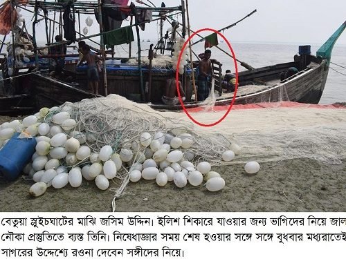 সাগরে ফেরার প্রস্তুতি চরফ্যাশনের জেলেদের