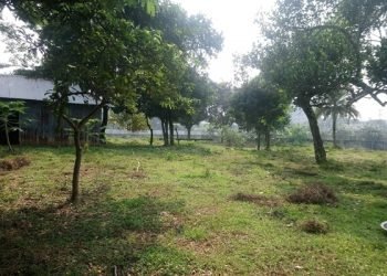 ২ লাখ ৮৭ হাজার একর বনভূমি অবৈধ দখলে