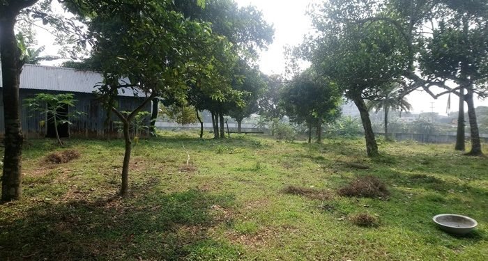 ২ লাখ ৮৭ হাজার একর বনভূমি অবৈধ দখলে