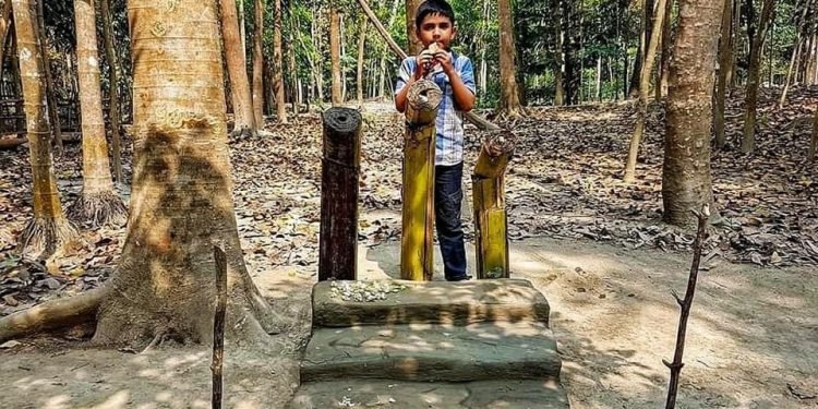 পাইন বনে একুশে