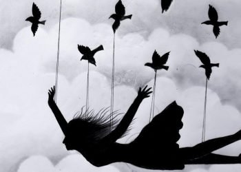 জন্মান্তরের ডানা