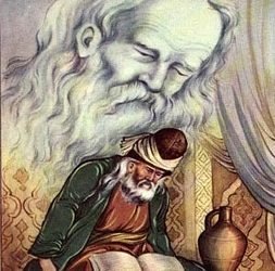 সেই কালো তিতির পাখীটি