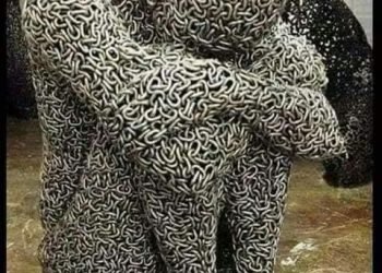 ৫০ বছরের প্রাপ্তিটা কি “আমাকে চিনস” ইতর শব্দমালা ?