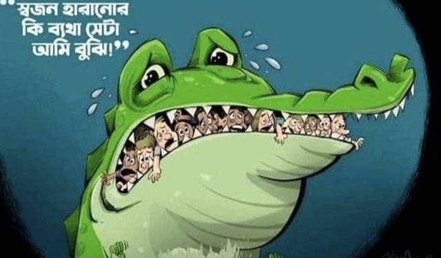 ভার্চুয়াল সংস্কৃতির শিয়াল ও জোনাকি যুগ